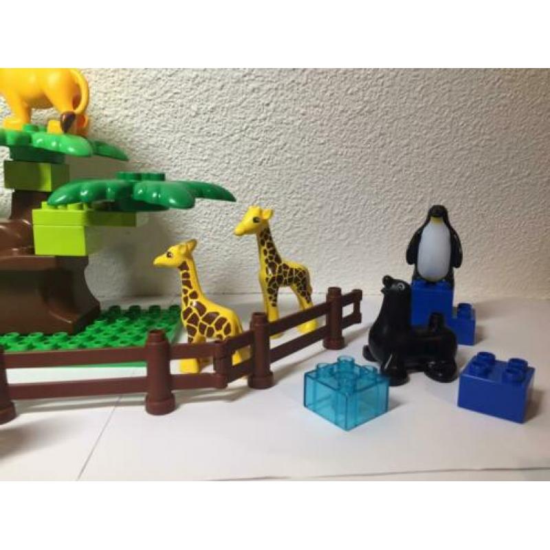 Duplo Dierentuin/ Ik heb nog meer Duplo