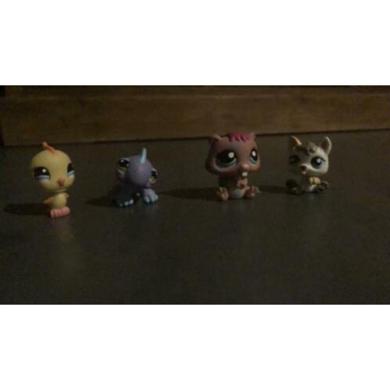 Littlest petsshop 4 stuks