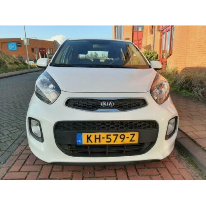 KIA Picanto 1.0 Cvvt 5-DRS 2016 Wit KMNAP/NETTE auto