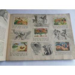 4 Walt Disney's Plaatjesalbums , Bambi , Sneeuwwitje , Peter