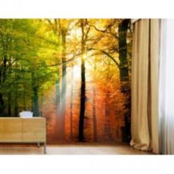 Fotobehang 170 forest lights NU:€25